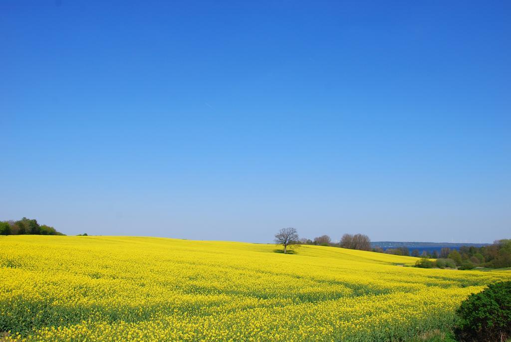 Meine Ecke 1 Eckernförde Kültér fotó